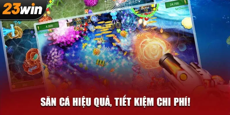 Săn cá hiệu quả, tiết kiệm chi phí!