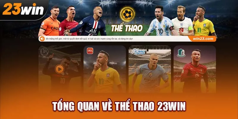 23Win – Cá cược thể thao chuẩn quốc tế!